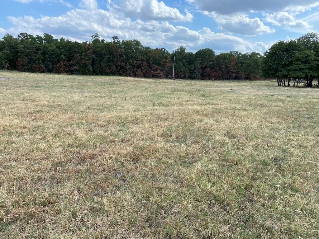 265 Rd 29 N/A — photo 24