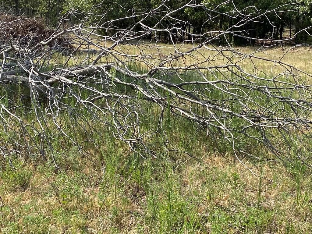 265 Rd 29 N/A — photo 30