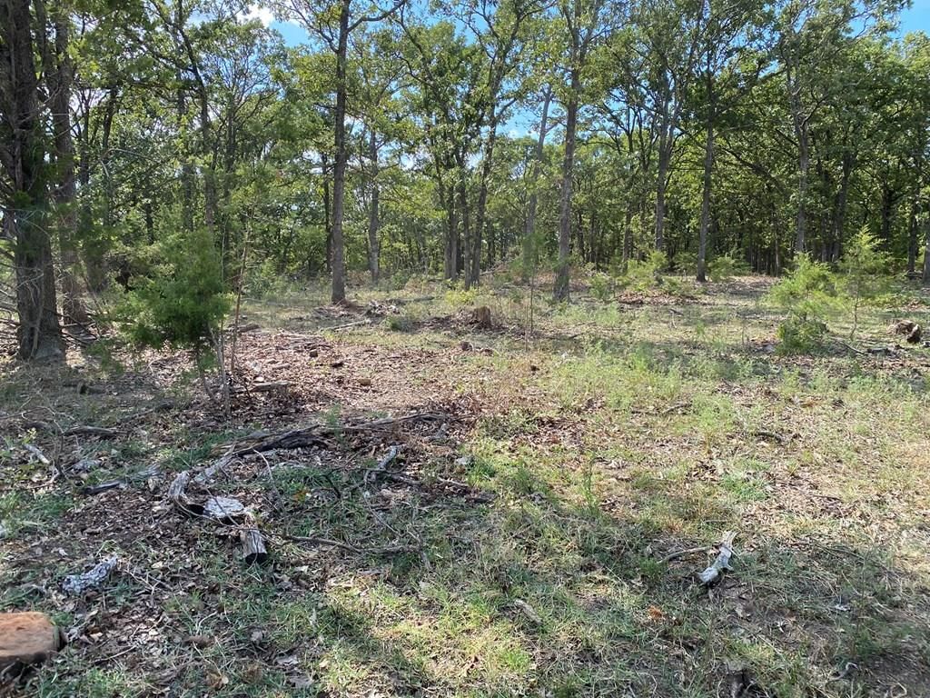265 Rd 29 N/A — photo 32