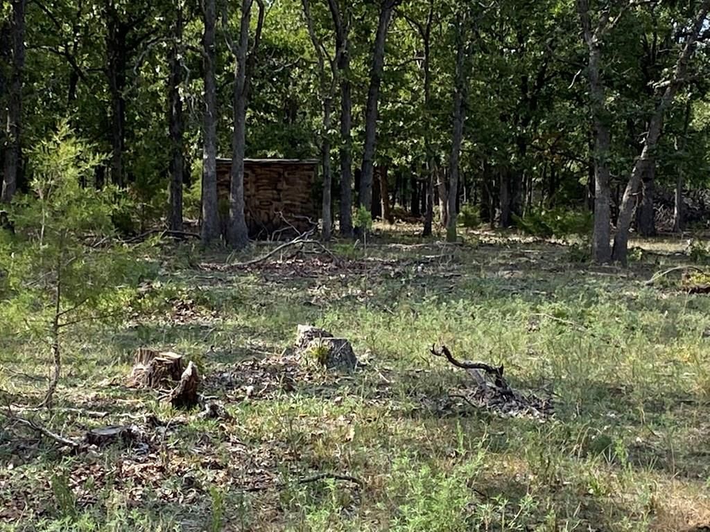 265 Rd 29 N/A — photo 33