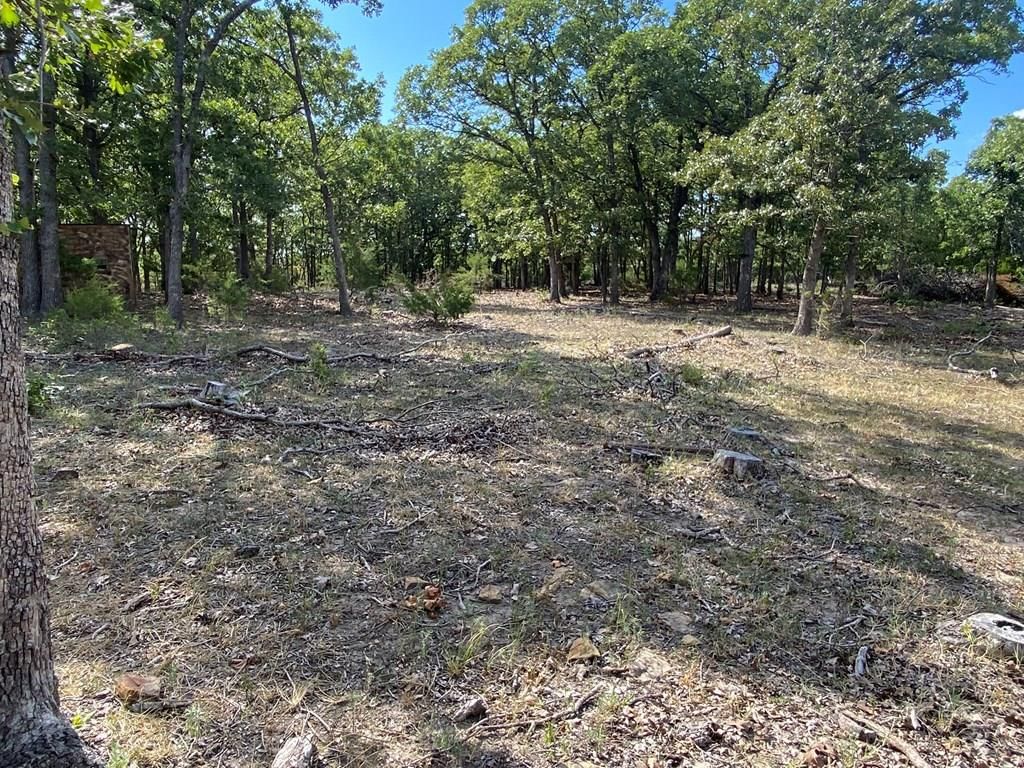 265 Rd 29 N/A — photo 34