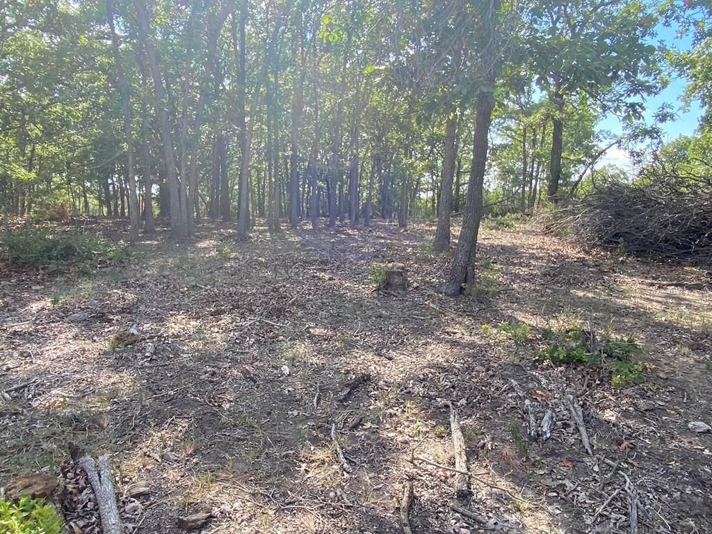 265 Rd 29 N/A — photo 35