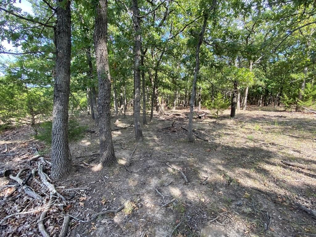 265 Rd 29 N/A — photo 37