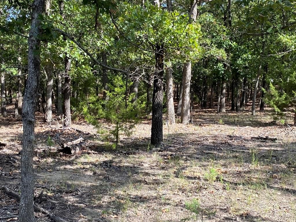 265 Rd 29 N/A — photo 38