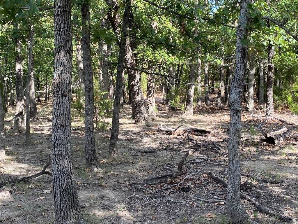 265 Rd 29 N/A — photo 39