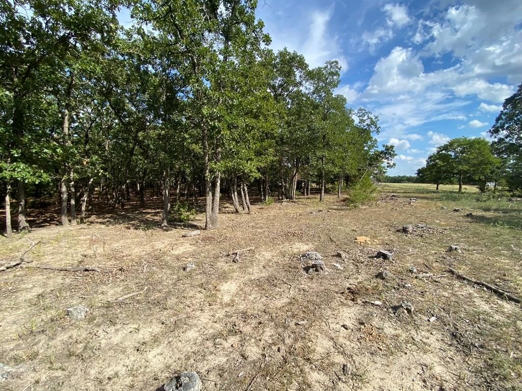 265 Rd 29 N/A — photo 41