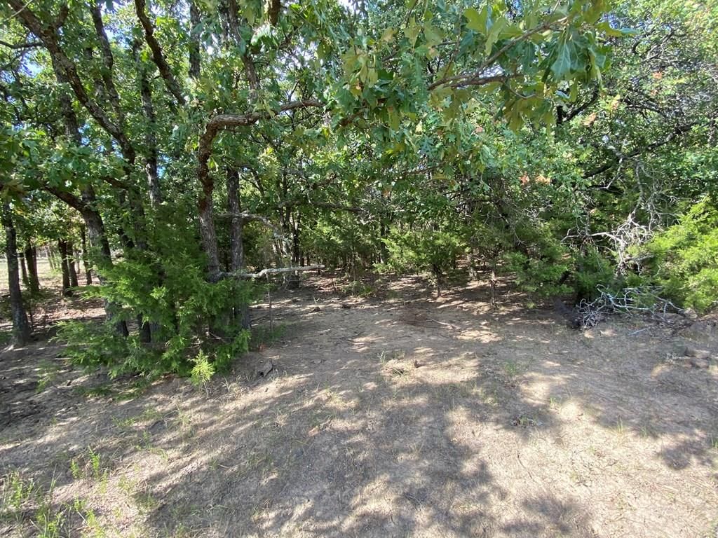 265 Rd 29 N/A — photo 43