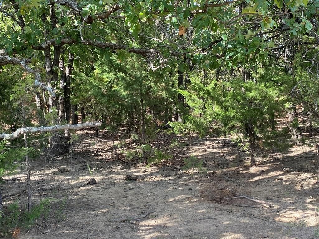 265 Rd 29 N/A — photo 44
