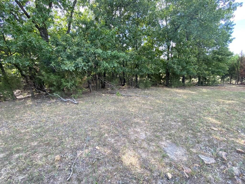265 Rd 29 N/A — photo 48