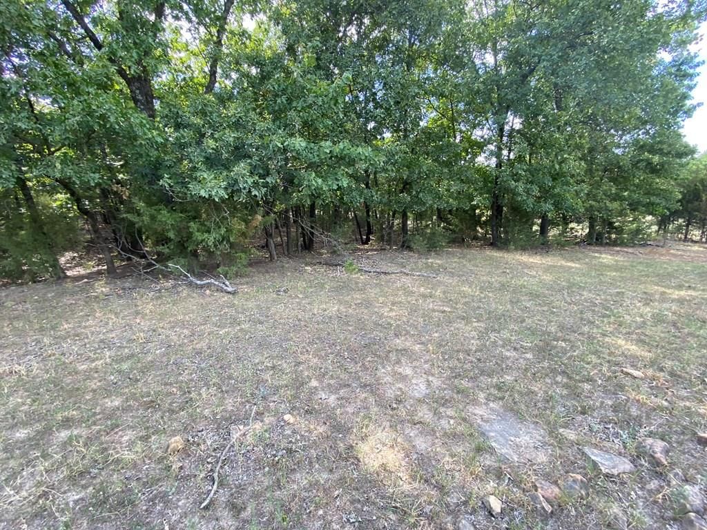 265 Rd 29 N/A — photo 49