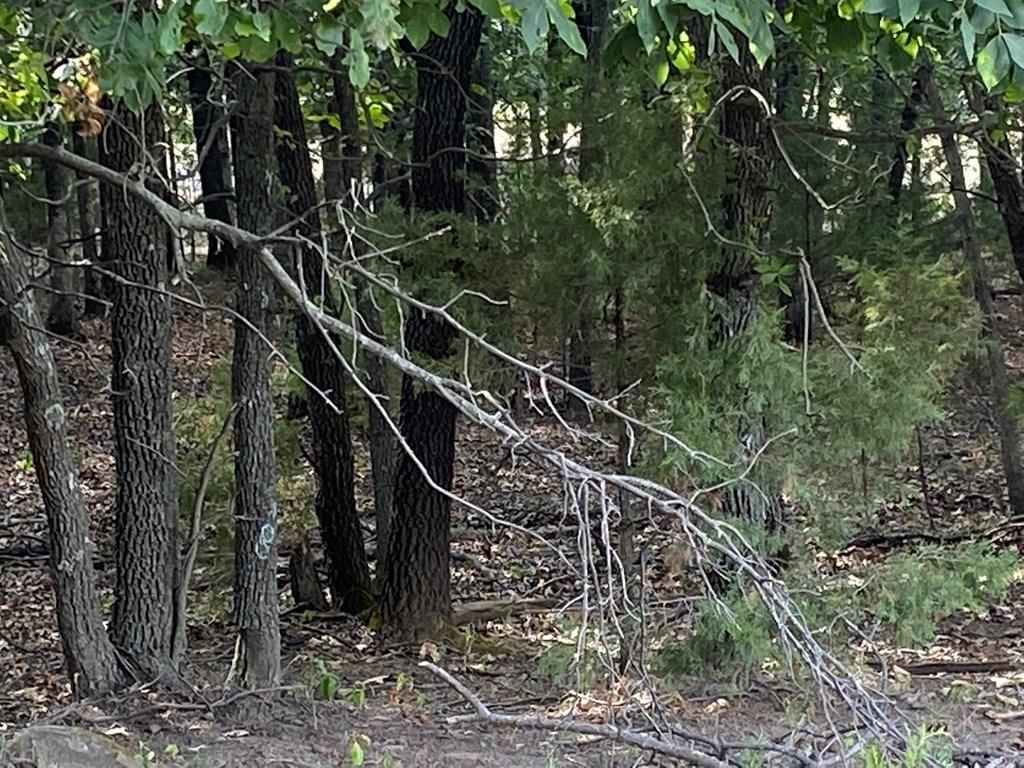 265 Rd 29 N/A — photo 50
