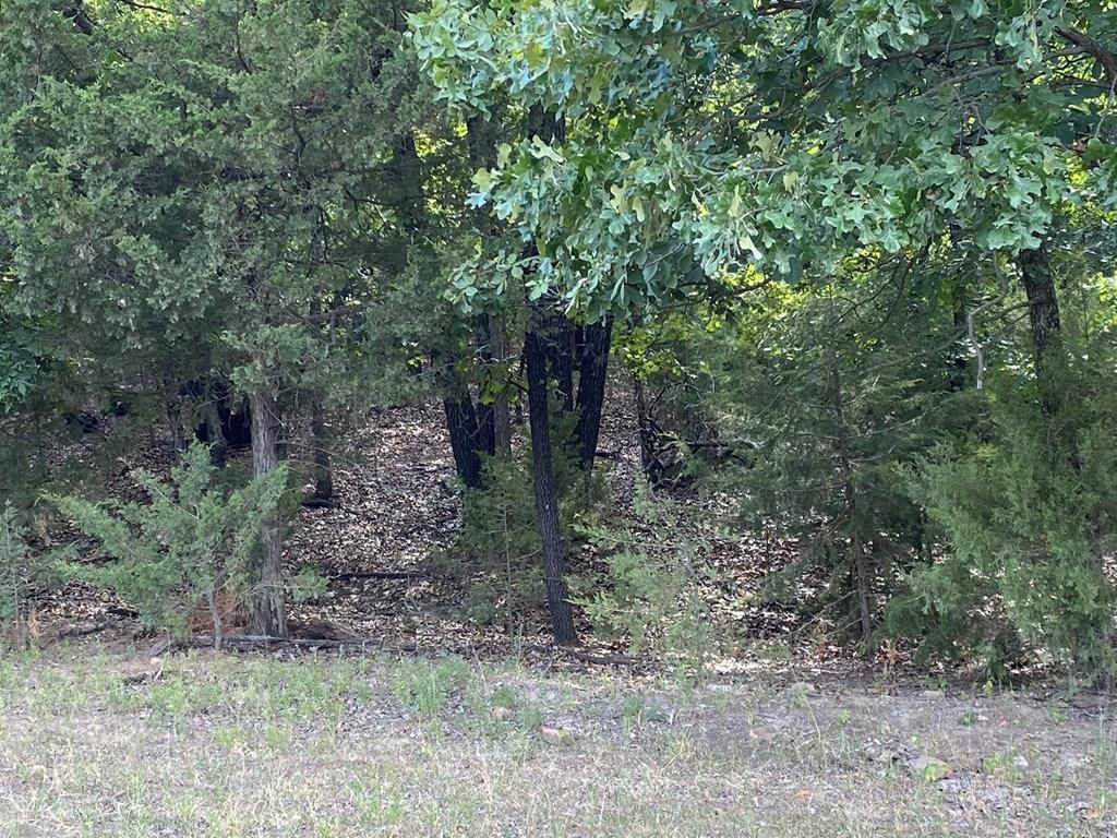 265 Rd 29 N/A — photo 51