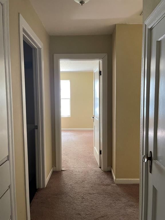 3147 Belmont N/A — photo 21