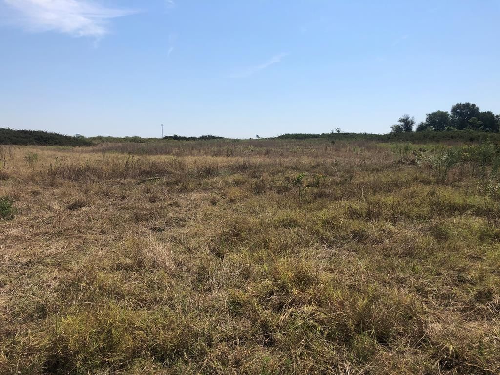 3526 CR 4675 N/A — photo 20