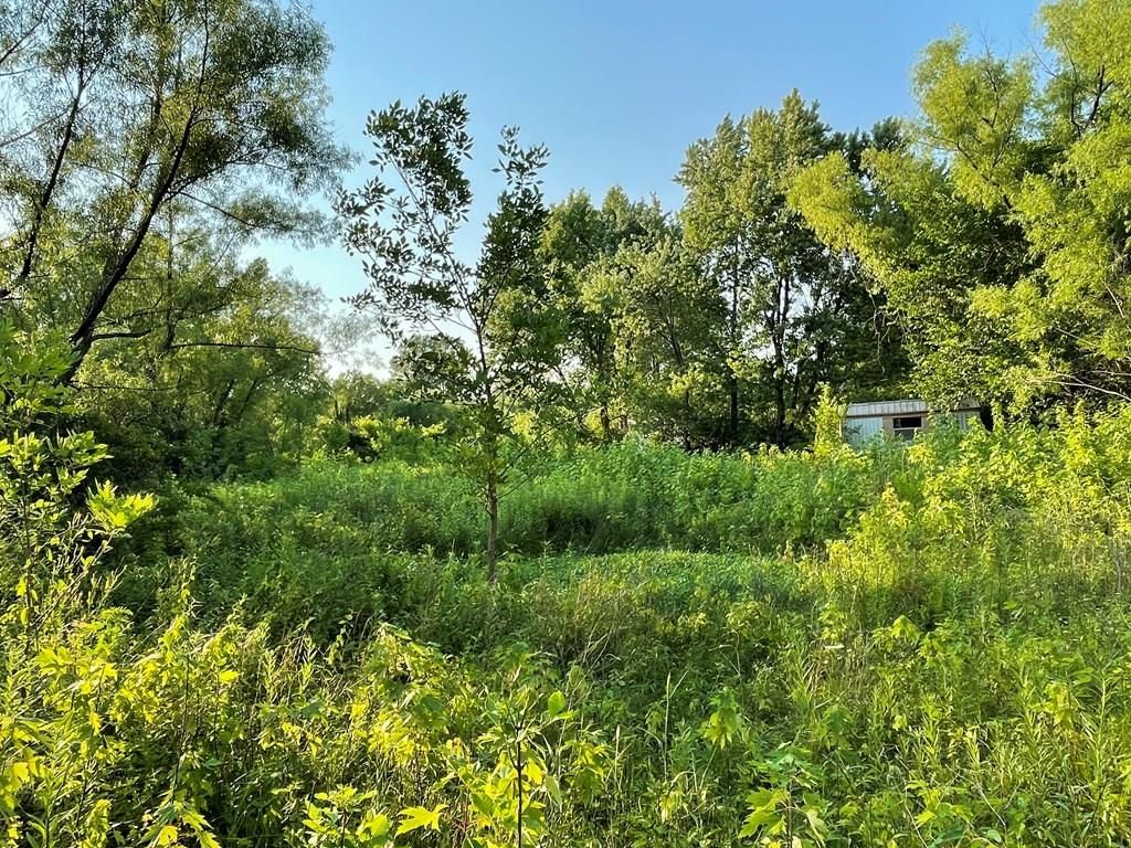 5334 CR 5080 N/A — photo 12