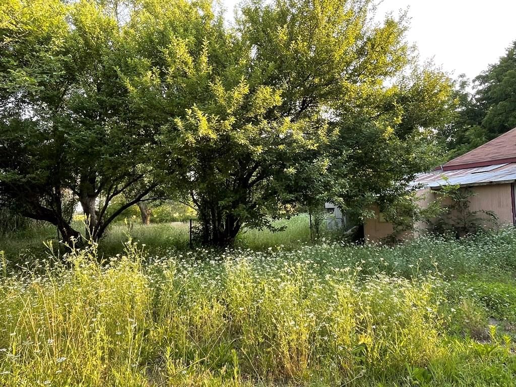 5334 CR 5080 N/A — photo 4