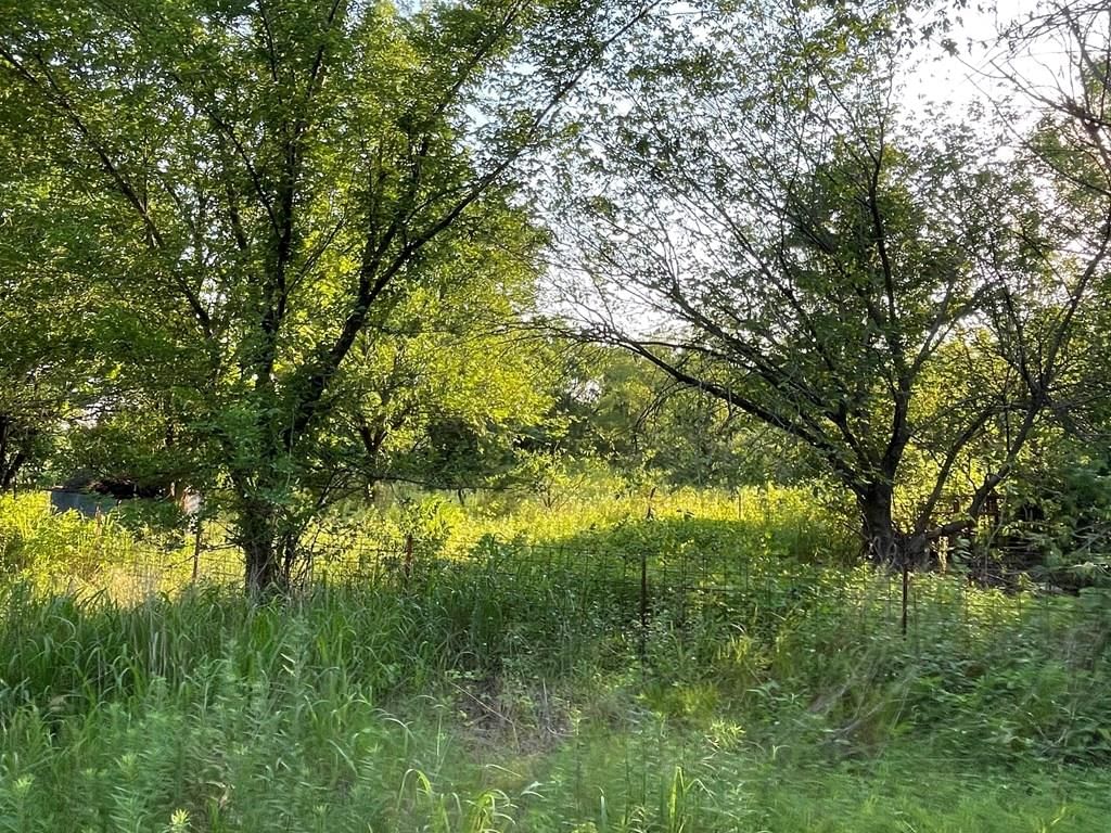 5334 CR 5080 N/A — photo 10