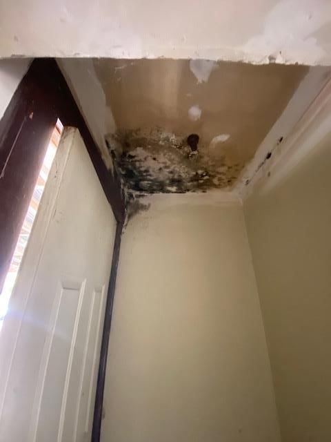 615 W Myrtle Street — photo 25