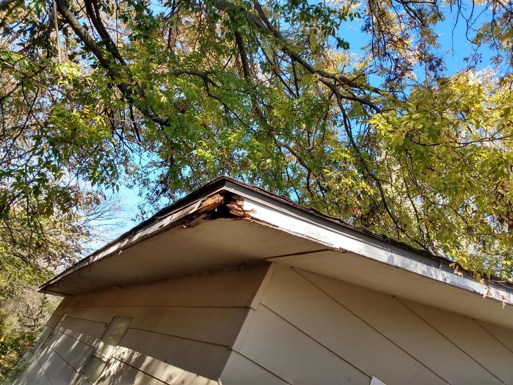 310 N Willow Street — photo 13