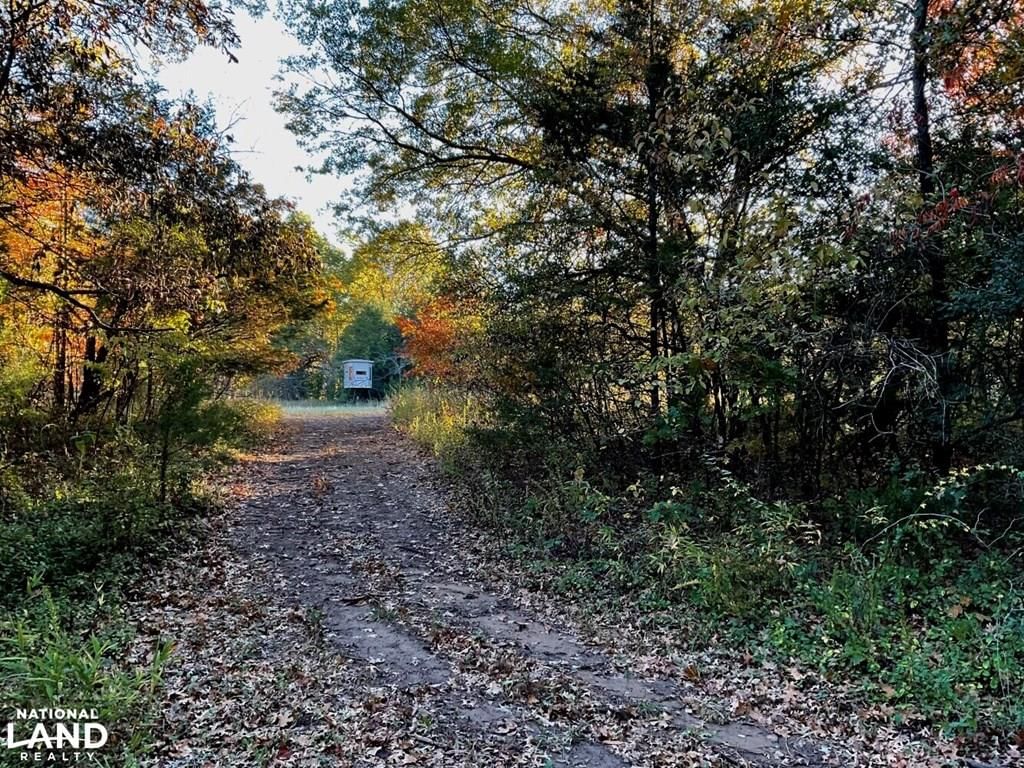 18051 Quaker Road — photo 4