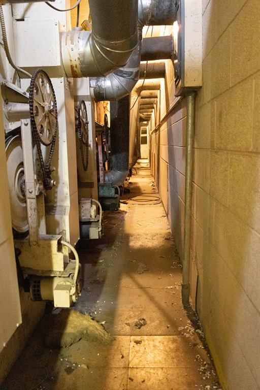 705 Beech N/A — photo 19