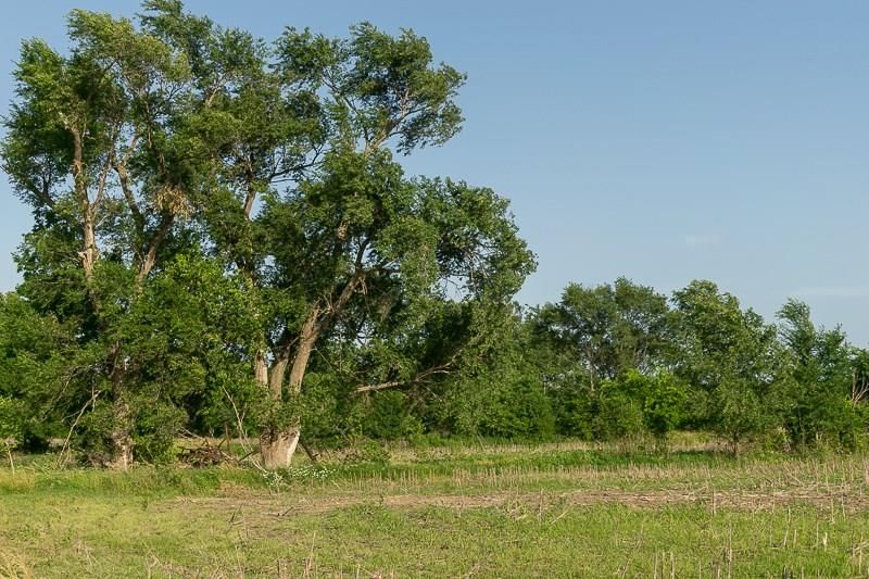 23205 US HWY 75 N/A — photo 28