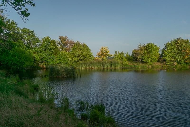 23205 US HWY 75 N/A — photo 33