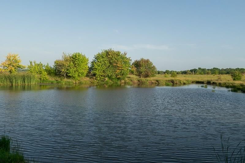 23205 US HWY 75 N/A — photo 34