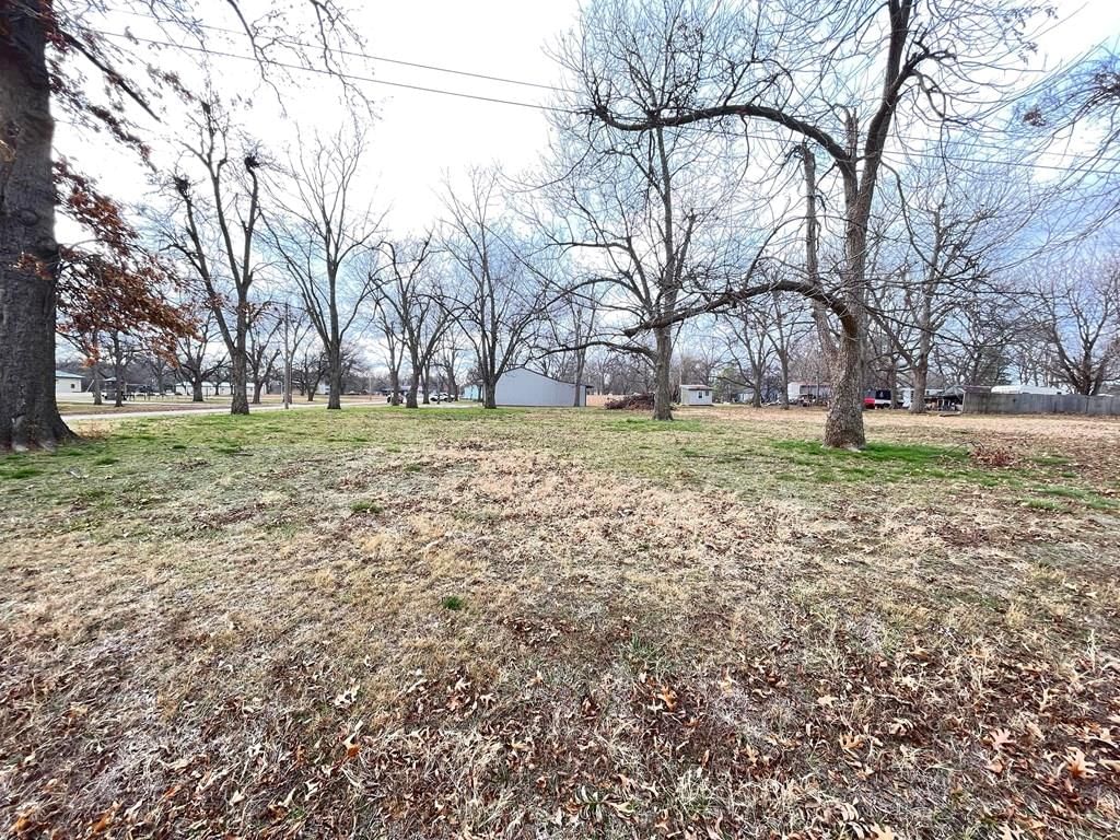 221 Mulberry N/A — photo 20