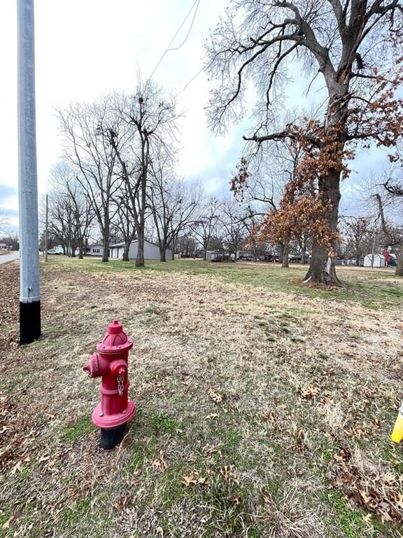 221 Mulberry N/A — photo 21