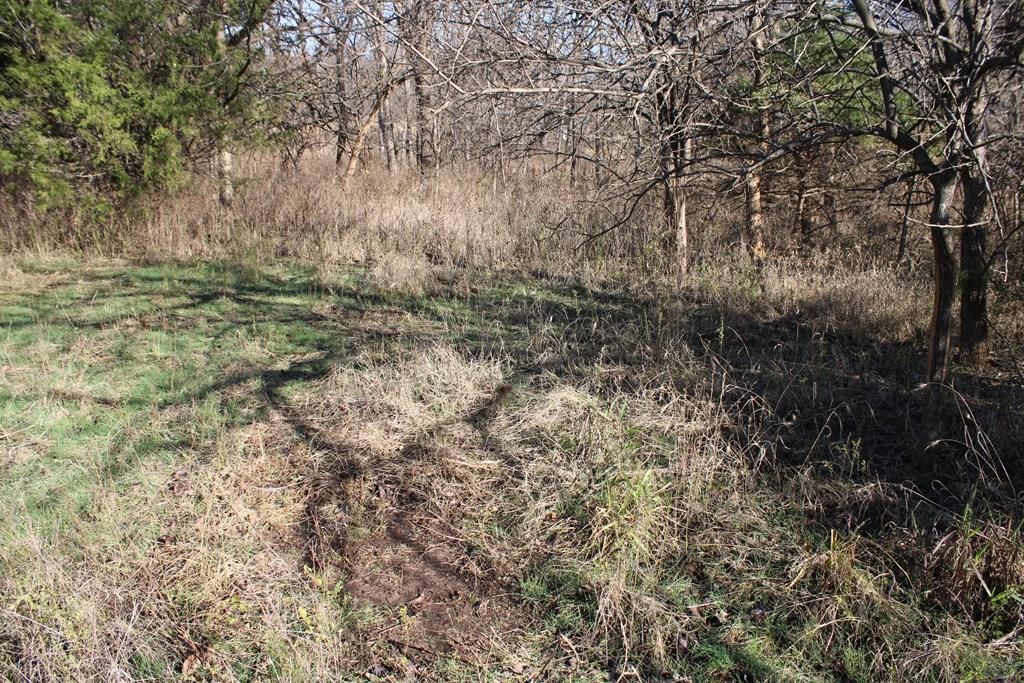 22120 Decatur Road — photo 13
