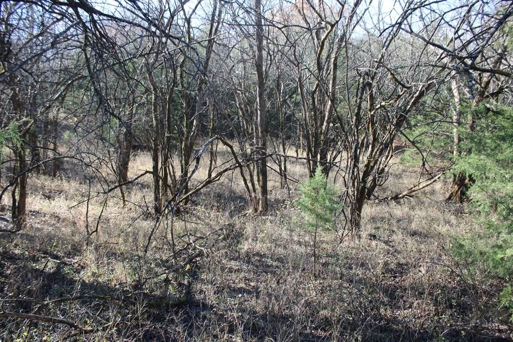 22120 Decatur Road — photo 15