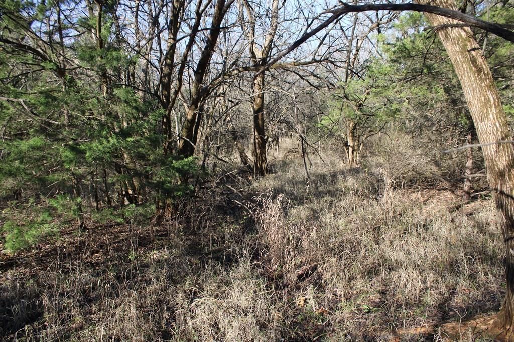 22120 Decatur Road — photo 16