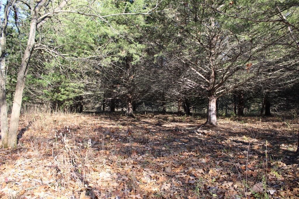 22120 Decatur Road — photo 23