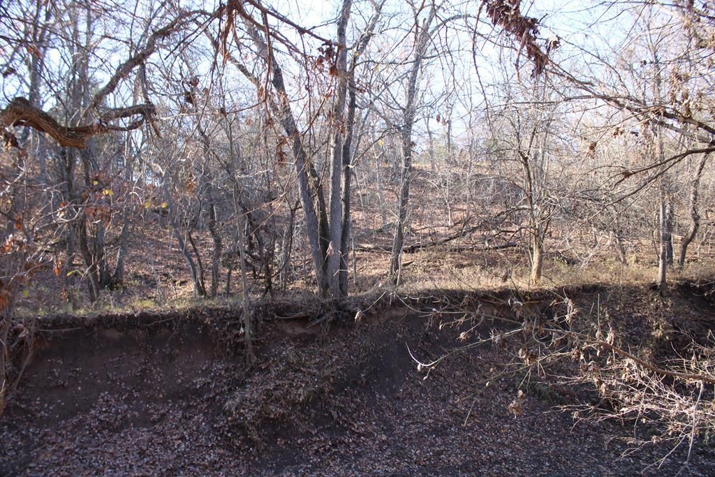 22120 Decatur Road — photo 29