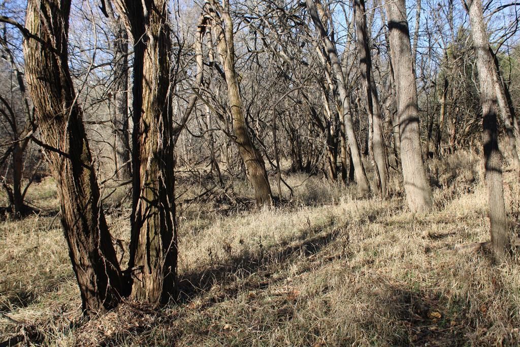 22120 Decatur Road — photo 30