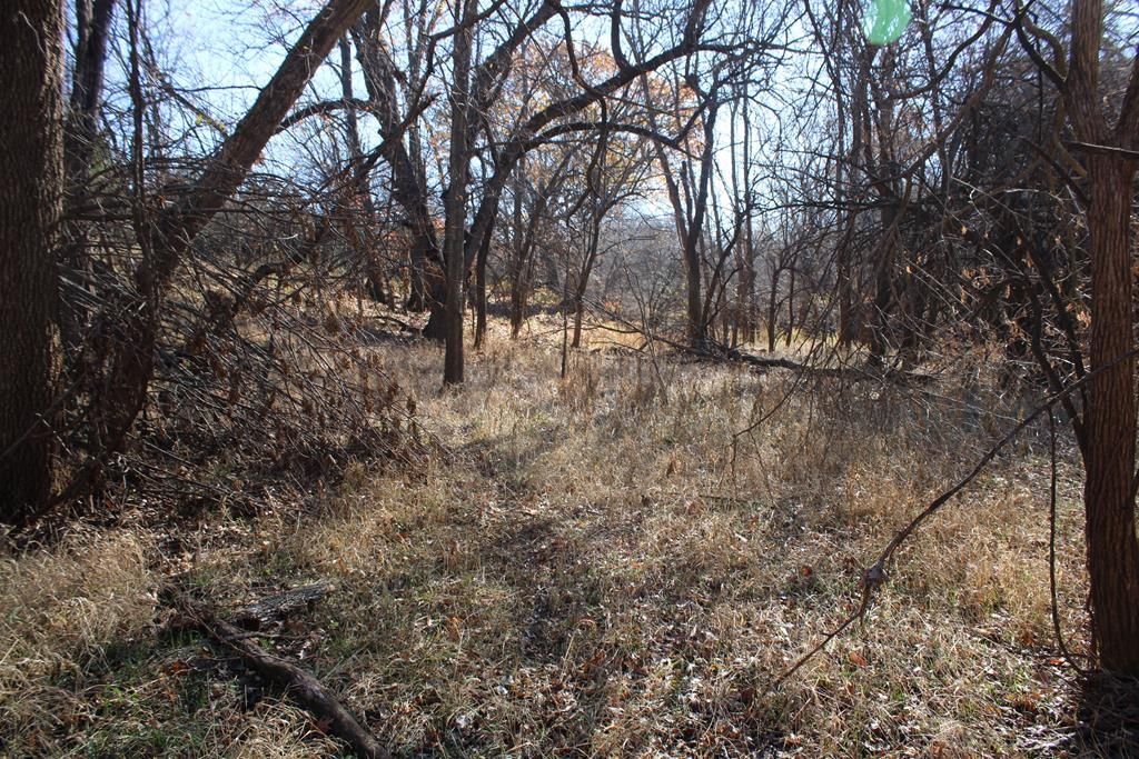 22120 Decatur Road — photo 31