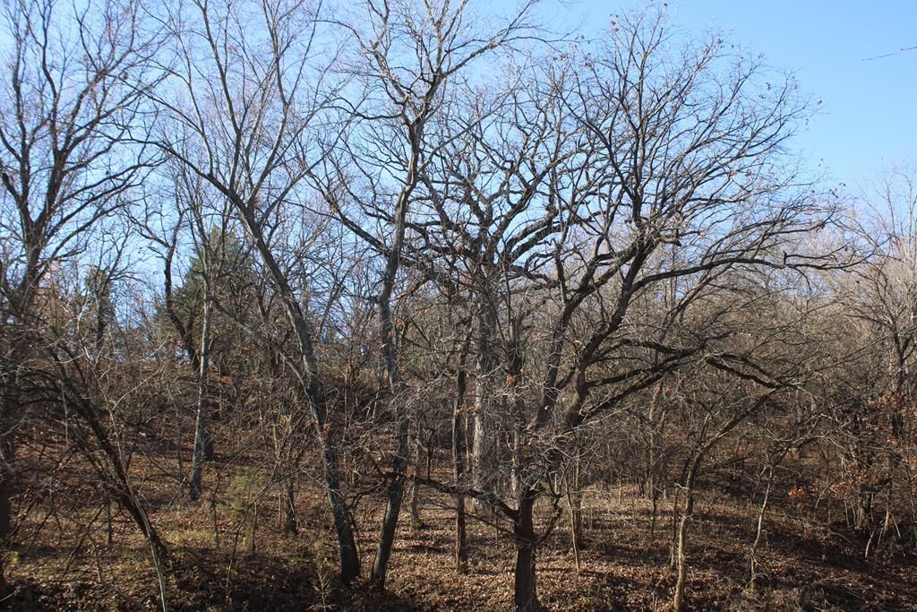 22120 Decatur Road — photo 32