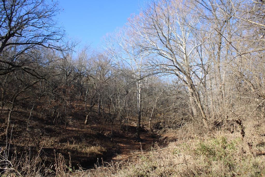 22120 Decatur Road — photo 33