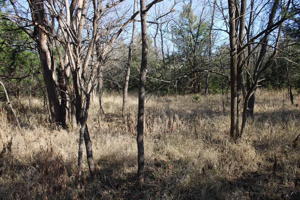 22120 Decatur Road — photo 34