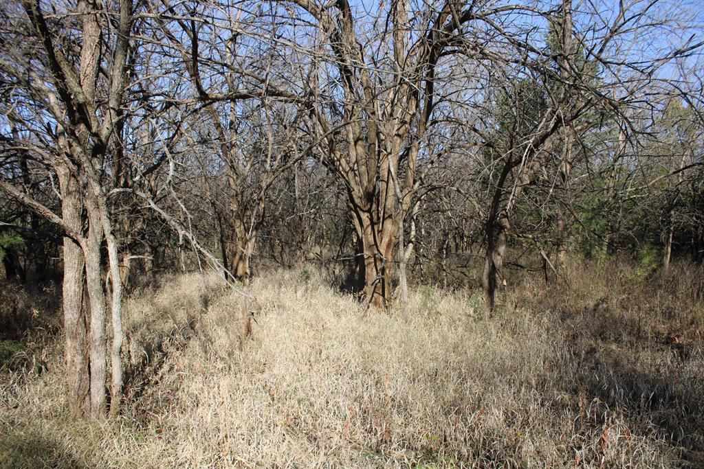 22120 Decatur Road — photo 35