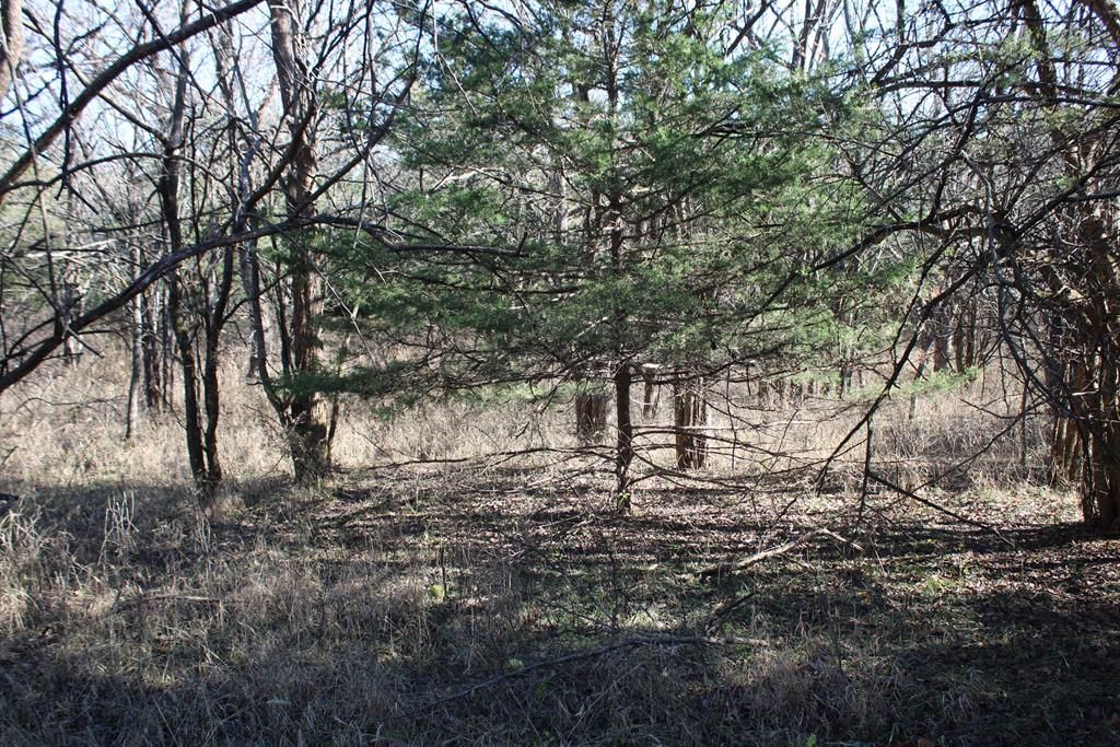 22120 Decatur Road — photo 36