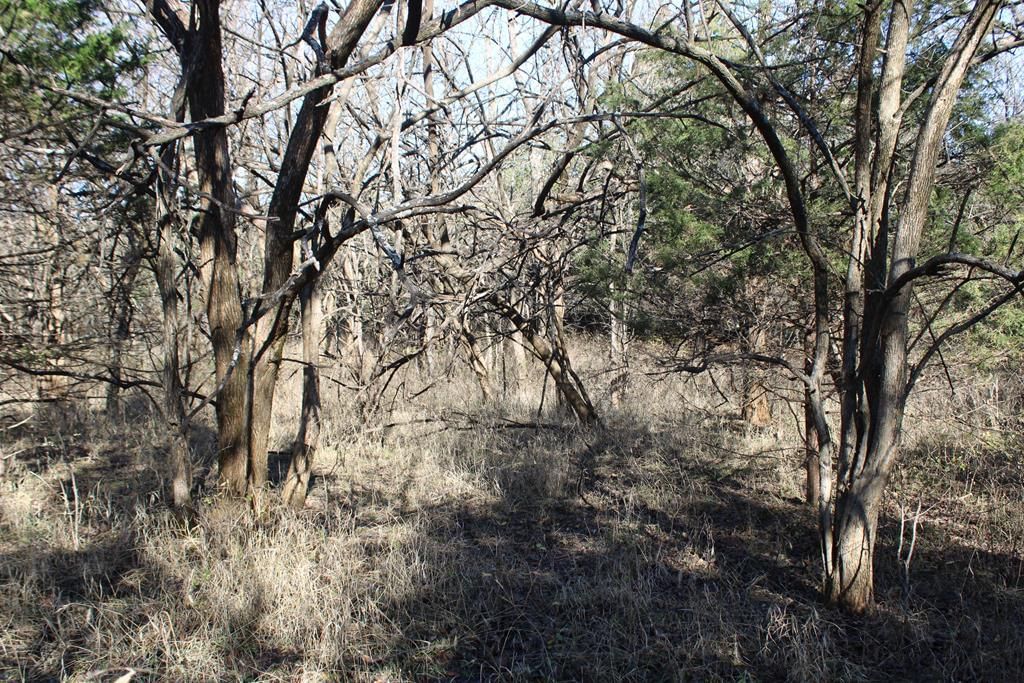 22120 Decatur Road — photo 37