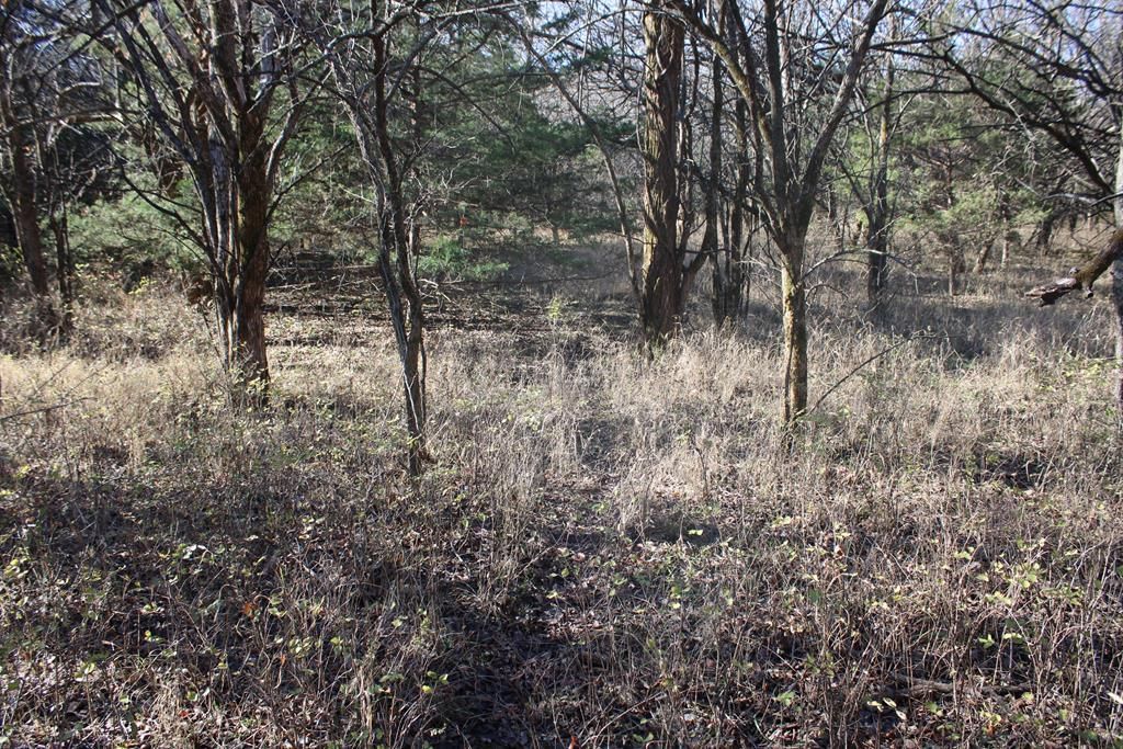 22120 Decatur Road — photo 39