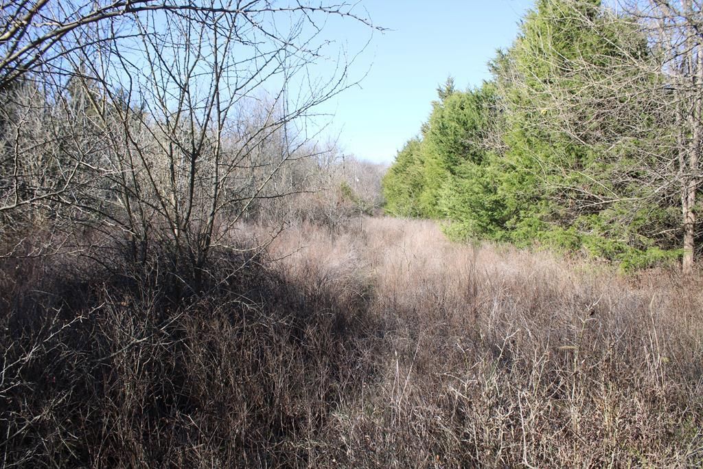 22120 Decatur Road — photo 41