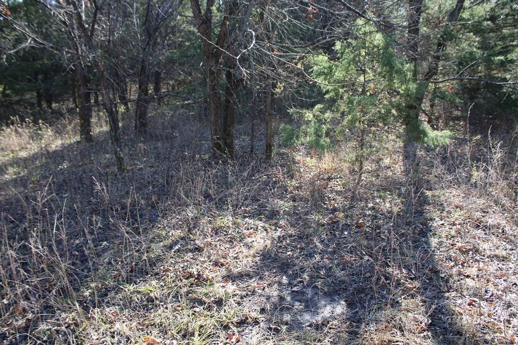 22120 Decatur Road — photo 43