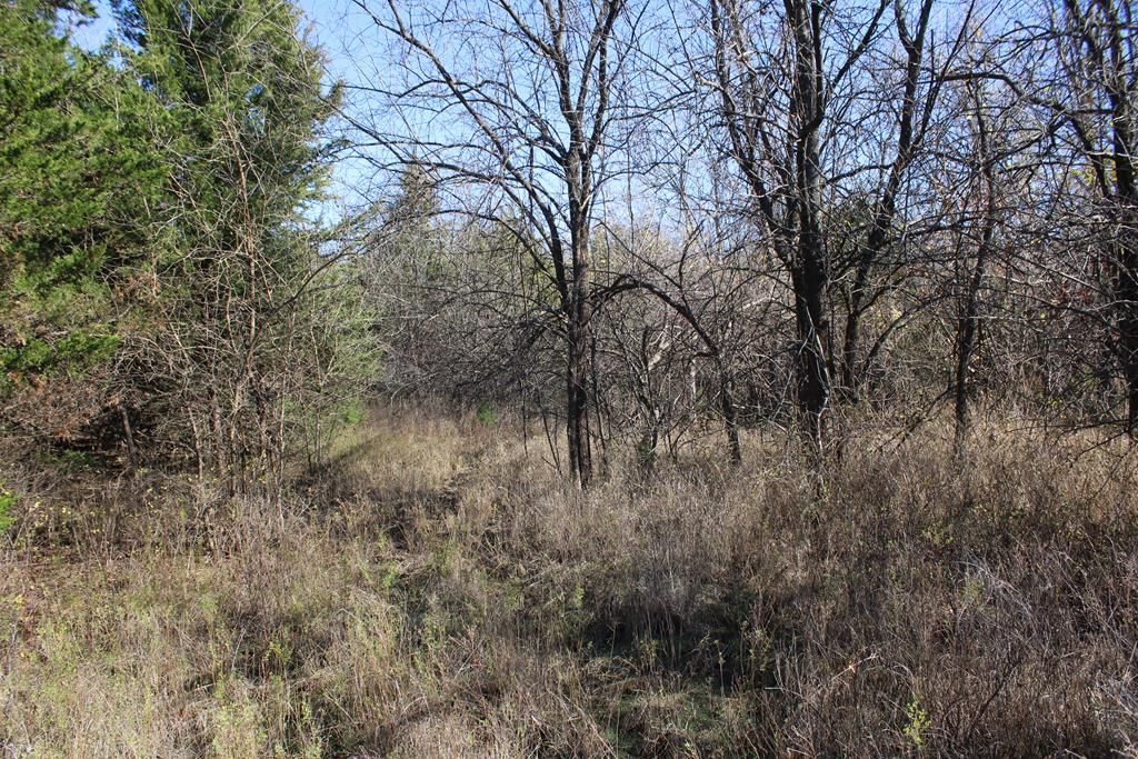 22120 Decatur Road — photo 45