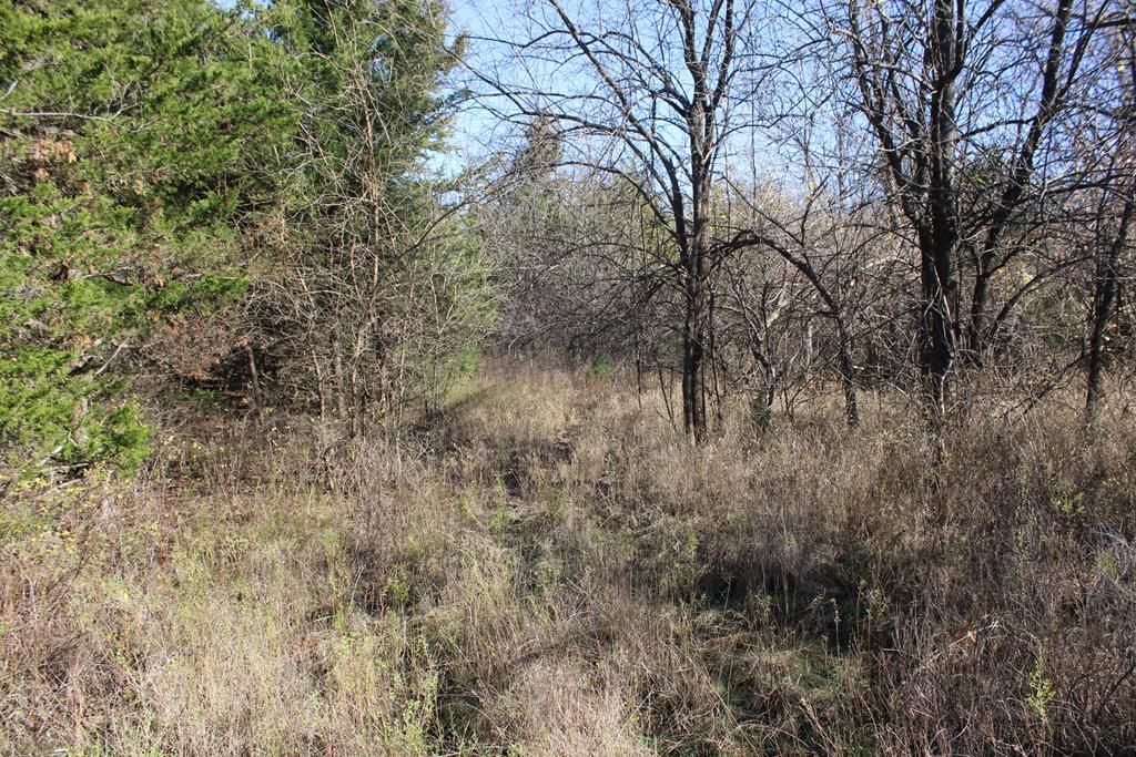 22120 Decatur Road — photo 46