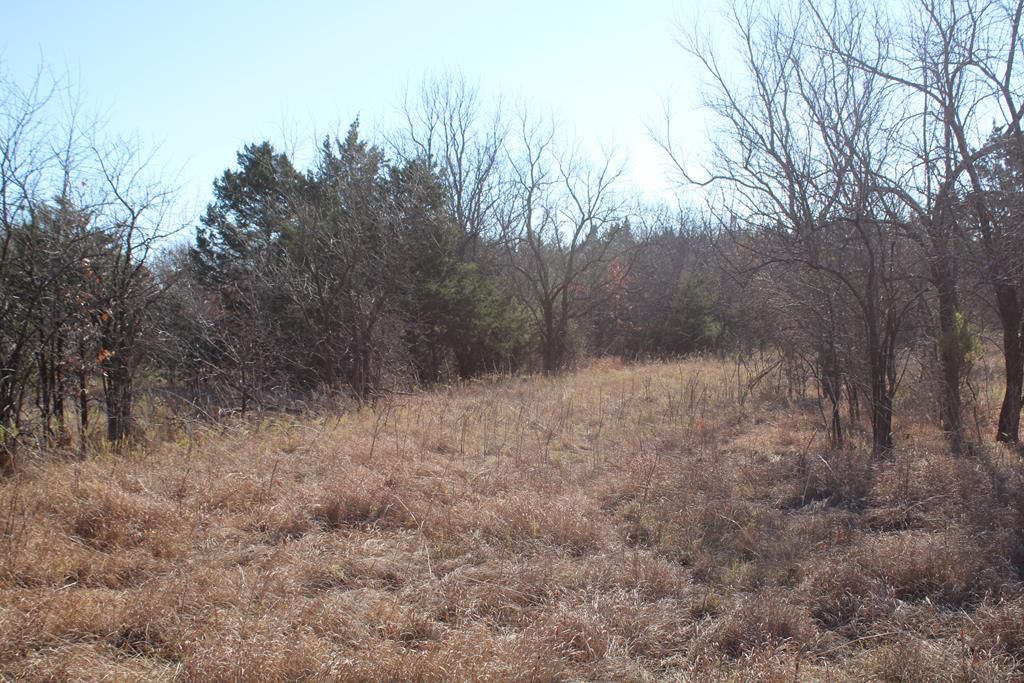22120 Decatur Road — photo 55