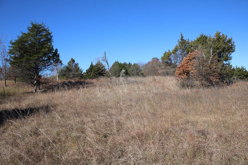 22120 Decatur Road — photo 57
